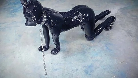 Latex Pet Play 1