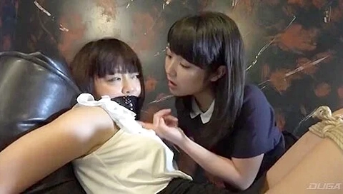 Japanese Damsel In 3