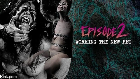 Diary Of A Madman, 2: Working The New Pet - Victoria Voxxx And The Pope