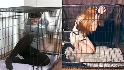 Dog-cage Drama