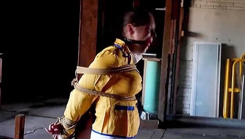 Tied To Pole